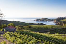 Longuedoc-Roussillon Wine